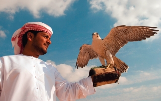 Bild: Gouvernment of Dubai